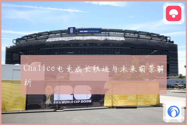 Chalice电竞成长轨迹与未来前景解析