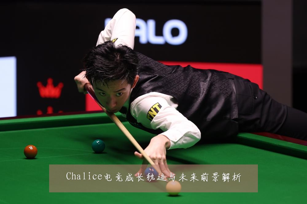 Chalice电竞成长轨迹与未来前景解析