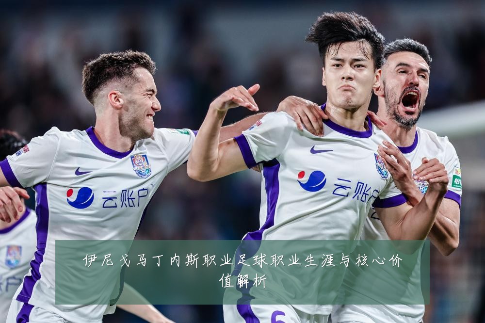 伊尼戈马丁内斯职业足球职业生涯与核心价值解析