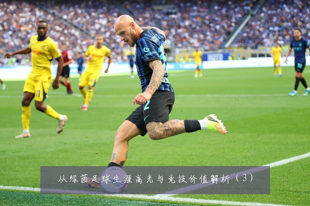 从绿茵足球生涯高光与竞技价值解析(3)