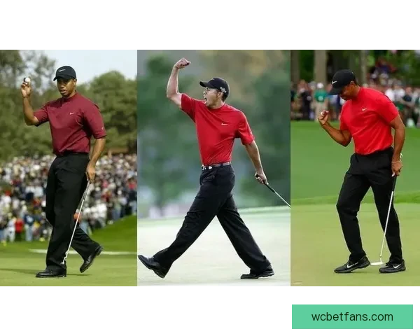 刹不住的泰格·伍兹与口袋里的两粒药丸背后的故事